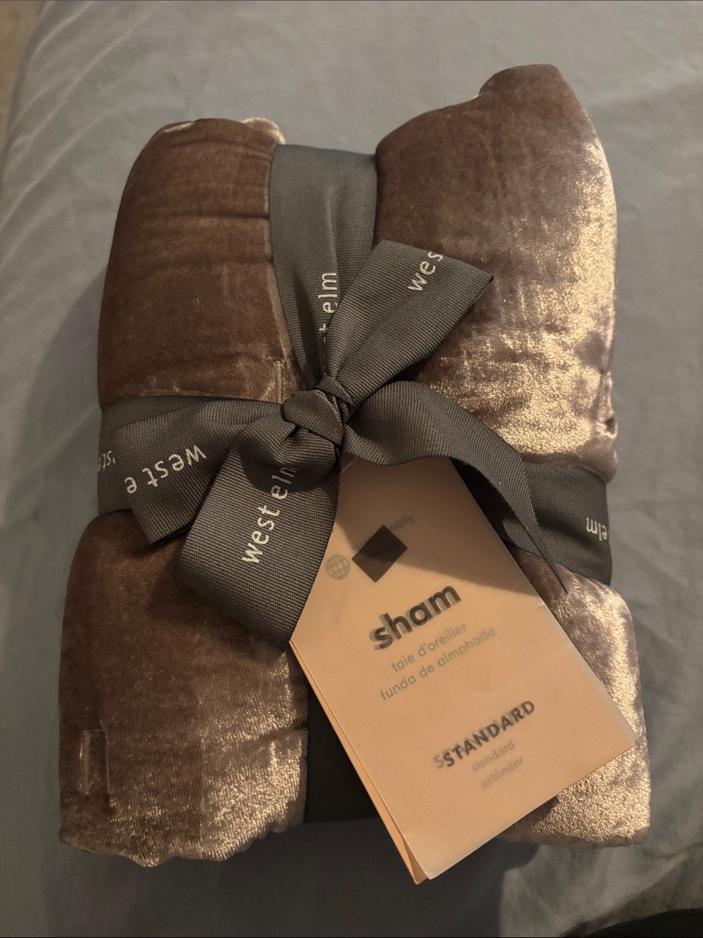West Elm Velvet Pillow Sham